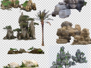 精品假山花草設(shè)計(jì)素材 花卉與苗木種植的視覺藝術(shù)